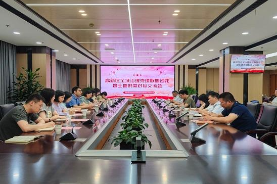 合肥高新区：举办全域治理党建联盟沙龙暨土地供需对接交流会